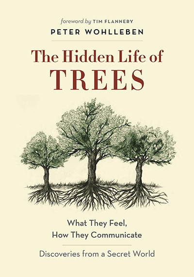 life of trees