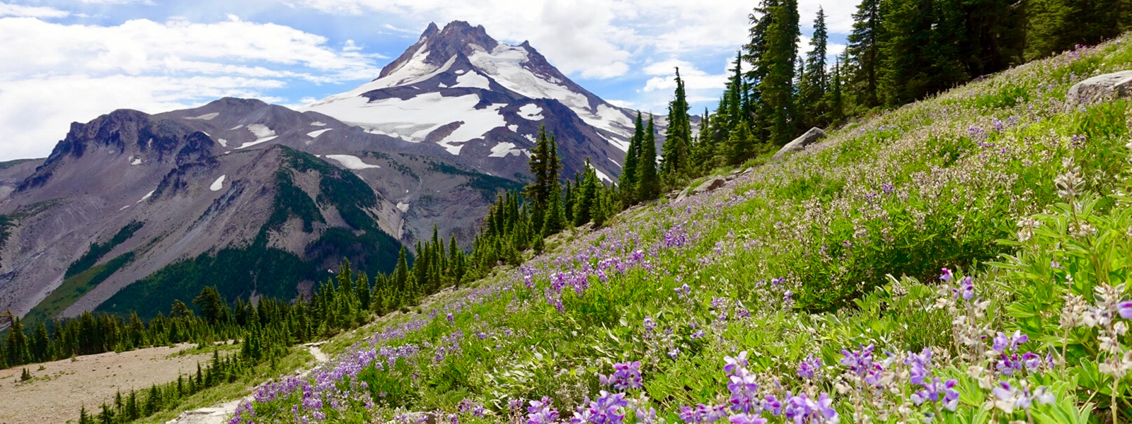 mt. jefferson; asars