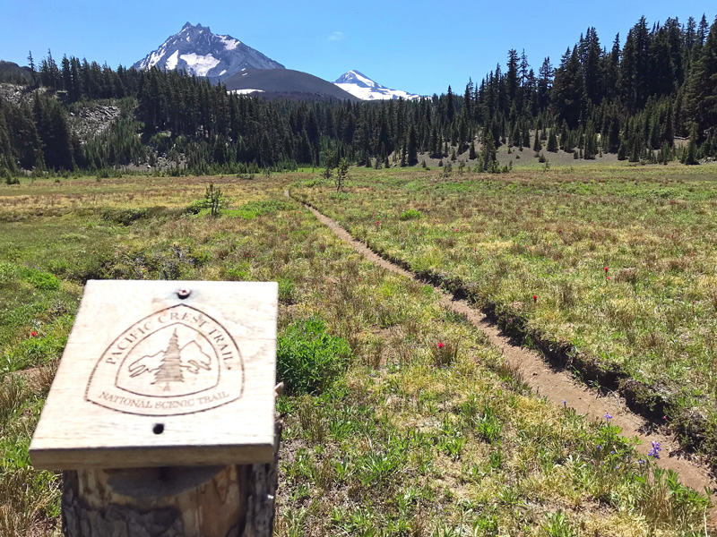 pct sign