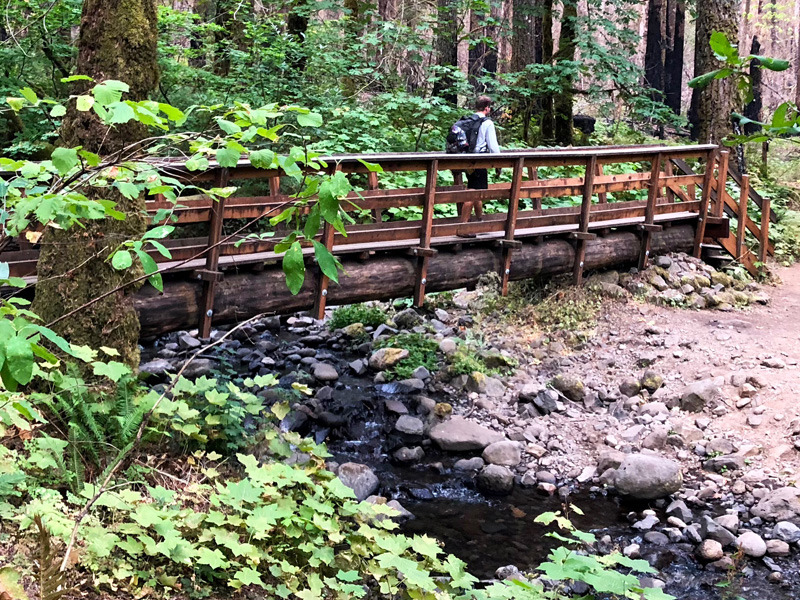 ramona creek