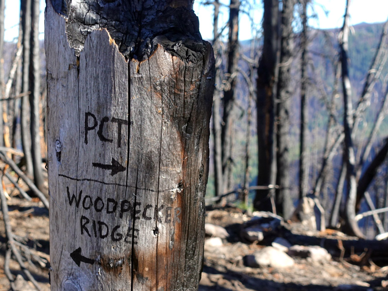 trail sign